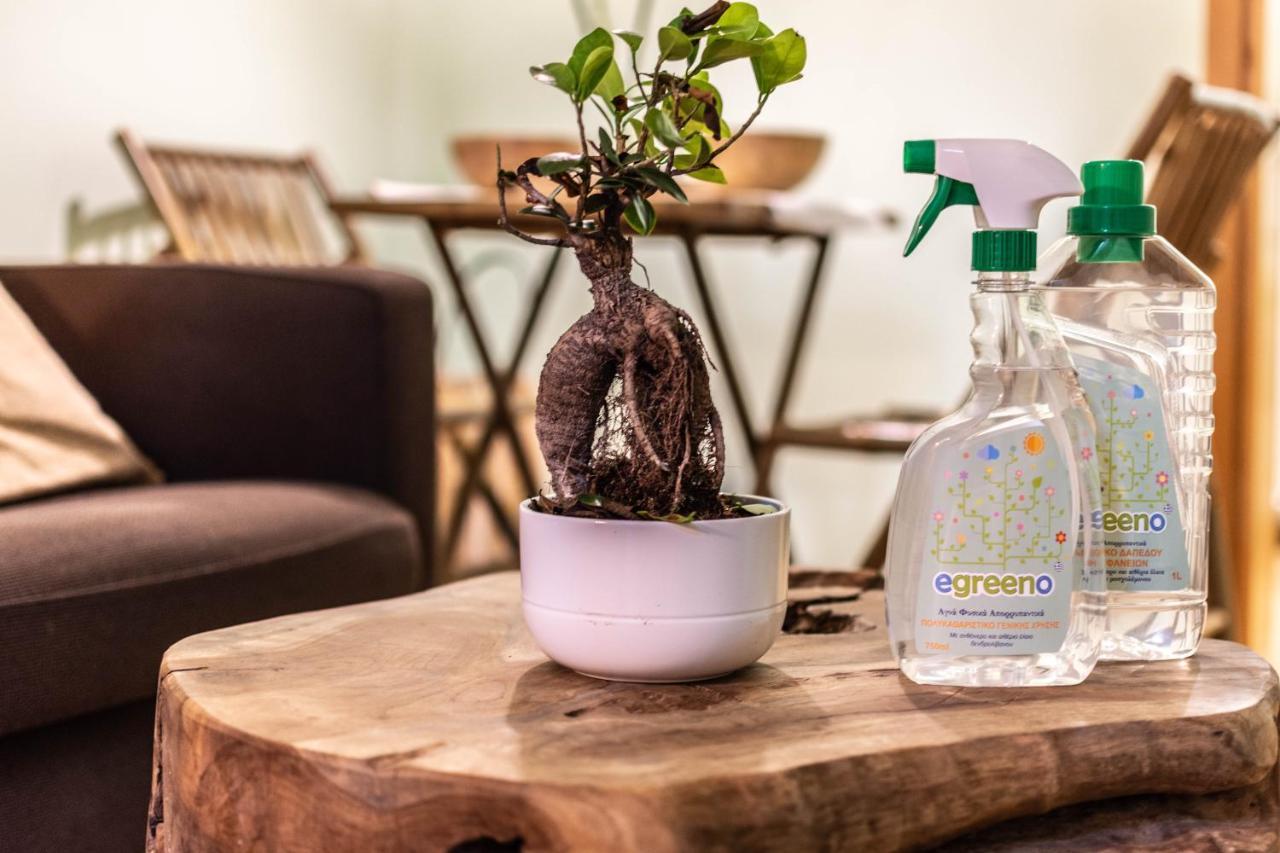 アテネEcoflat In Syntagma Square!アパートメント エクステリア 写真